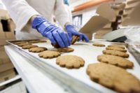 Harderwijk praca Holandia przy pakowaniu ciastek w fabryce od zaraz z językiem angielskim