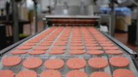Praca w Holandii bez języka pakowanie hamburgerów-kiełbasek od zaraz, Best