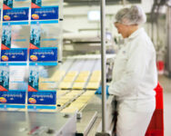 Operator maszyn Holandia praca od zaraz na produkcji sera w Alphen k. Tilburga