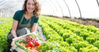Ogrodnictwo praca w Holandii bez języka i doświadczenia przy warzywach i kwiatach w szklarni, Haga