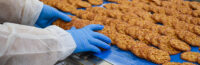 Oferta pracy w Holandii bez znajomości języka pakowanie ciastek od zaraz Beek