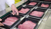 Porcjowanie i pakowanie mięsa oferta pracy w Holandii od zaraz, Rotterdam