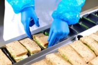 Holandia praca bez znajomości języka na produkcji kanapek od zaraz fabryka Leeuwarden