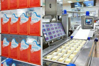 Praca w Holandii na produkcji przy pakowaniu serów bez języka Zeewolde