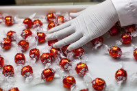 Oferty pracy w Holandii na produkcji pakowanie słodyczy bez języka Oss