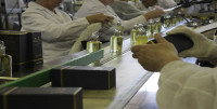 Pakowanie perfum na produkcji bez znajomości języka praca w Holandii