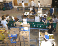 Praca w Holandii pakowanie produktów spożywczych bez znajomości języka Oss