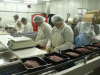 Praca Holandia w Zaandam na produkcji pakowanie mięsa bez języka od zaraz