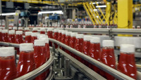 Praca Holandia przy pakowaniu ketchupów bez znajomości języka Wijchen