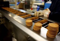 Oferta pracy w Holandii bez znajomości jezyka pakowanie ciastek Zwolle