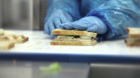 Holandia praca w Alphen bez znajomości języka na produkcji kanapek od zaraz