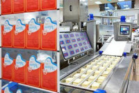 Praca w Holandii bez znajomości języka pakowanie sera od zaraz Almere