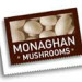 monaghan logo