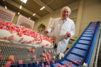 Praca w Holandii na produkcji słodyczy przy sortowaniu od zaraz Roosendaal