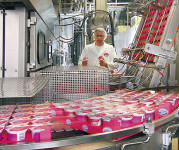 Od zaraz praca w Holandii bez języka Limburgia na produkcji jogurtów
