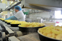 Praca Holandia od zaraz w Bunschoten produkcja ciastek, ptysi i eklerków