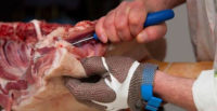 Holandia praca na produkcji mięsnej jako Rzeźnik – trybowanie szynki, Helmond