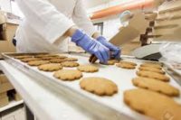 Pakowanie ciastek – praca Holandia od zaraz w Harderwijk 2018