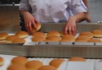 Holandia praca od zaraz pakowanie bułek w piekarni z językiem angielskim, Breukelen
