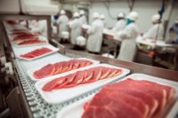 Oferta pracy w Holandii przy pakowaniu mięsa na produkcji bez języka, Olst