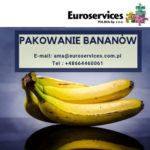 Pakowanie bananów oferta pracy w Holandii bez języka od zaraz 2019, IJsselmuiden