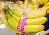 Pakowanie bananów praca w Holandii od zaraz z językiem angielskim, Ijsselmuiden
