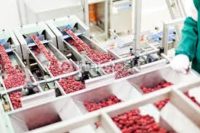 Operator na produkcji musu owocowego oferta pracy w Holandii od zaraz, Geldermalsen