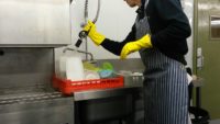 Praca w Holandii na zmywaku jako pomoc kuchenna od zaraz bez języka Bergen op Zoom