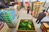 Oferta pracy w Holandii na magazynie z warzywami i owocami od zaraz