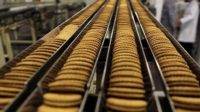 Praca w Holandii na produkcji operator maszyn pakujących od zaraz, Zoutkamp