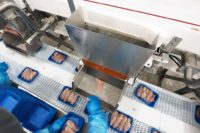 Ommel, praca w Holandii pakowanie filetów z kurczaka od zaraz 2019