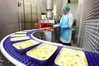 Holandia praca bez znajomości języka na produkcji spożywczej od zaraz, Haga