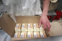 Holandia praca przy pakowaniu masła, napełnianiu butelek etc. Wijk en Aalburg