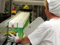 Oferta pracy w Holandii na produkcji pakowanie przekąsek mrożonych od zaraz, Waalwijk