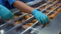 Bez znajomości języka oferta pracy w Holandii przy pakowaniu mięsa drobiowego, Doetinchem