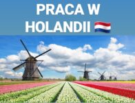 Dam pracę w Holandii 2021 bez języka dla każdego, pary mile widziane