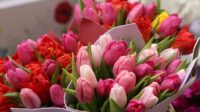 Dam pracę w Holandii dla par przy układaniu bukietów kwiatowych bez języka, Bleiswijk