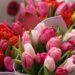 Tulipany-bukiet-na-kazda-okazje_article