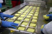 Produkcja sera praca Holandia bez znajomości języka od zaraz w Gemert