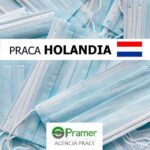 Oferta pracy w Holandii od zaraz pakowanie produktów higienicznych w Lelystad